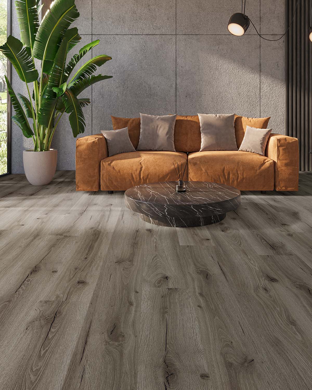 Kolekcia Showhome